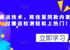 最新搬运技术视频替换,陈佳慧同款内录,轻松过搬运检测轻松上热门!