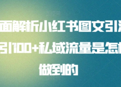 暴力引流 小红书图文引流日引100私域全面拆解【打粉人必看】