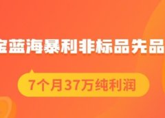 盗坤淘宝蓝海暴利非标品先品思路,7个月37万纯利润,压箱干货分享!【付费文章】