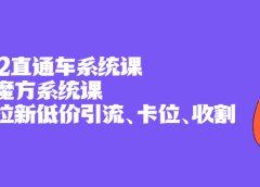 2022直通车系统课+引力魔方系统课,精准拉新低价引流、卡位、收割