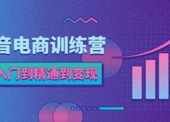 抖音电商训练营：从入门到精通，从账号定位到流量变现，抖店运营实操