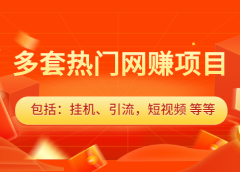 多套vip课程合集,价值千元