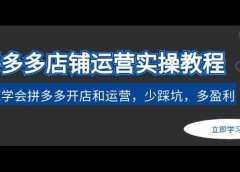 拼多多店铺运营实操教程:快速学会拼多多开店和运营,少踩坑,多盈利
