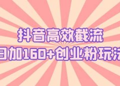 抖音高效截流日加160+创业粉玩法:详细操作实战演示!