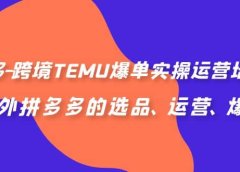拼多多-跨境TEMU爆单实操运营培训班,海外拼多多的选品、运营、爆单