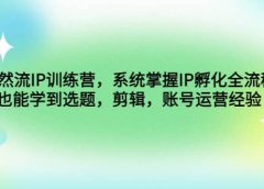 自然流IP训练营,系统掌握IP孵化全流程,也能学到选题,剪辑,账号运营经验
