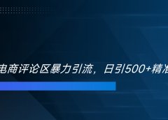 双十一电商评论区暴力引流,日引500+精准创业粉!!!