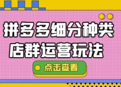 拼多多细分种类店群运营玩法3.0,11月最新玩法,小白也可以操作