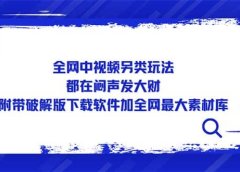 全网中视频另类玩法，都在闷声发大财，附带下载软件加全网最大素材库
