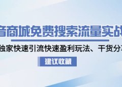 抖音商城免费搜索流量实战营:0-1独家快速引流快速盈利玩法、干货分享