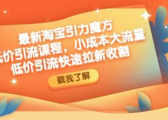 最新淘宝引力魔方低价引流实操:小成本大流量