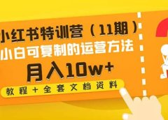 小红书特训营（11期）小白可复制的运营方法（教程+全套文档资料)