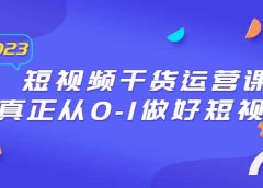 2023短视频干货·运营课，真正从0-1做好短视频（30节课）
