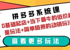 拼多多系统课:0基础起店+当下最牛的低价起量玩法+简单粗暴的动销玩法