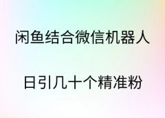 闲鱼结合微信机器人,日引几十个精准粉