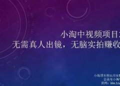 小淘项目组网赚永久会员,绝对是具有实操价值的,适合有项目做需要流程【持续更新】