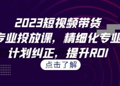 2023短视频带货-千川专业投放课，精细化专业投放，计划纠正，提升ROI