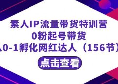 繁星·计划素人IP流量带货特训营:0粉起号带货 从0-1孵化网红达人(156节)