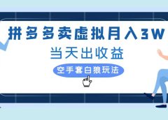 拼多多虚拟项目,单人月入3W+,实操落地项目