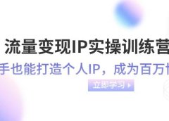 流量变现-IP实操训练营:新手也能打造个人IP,成为百万博主(46节课)