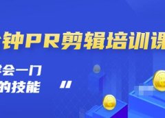 抖音视频一分钟PR剪辑培训:学会一门赚钱的技能,每节课短小精悍