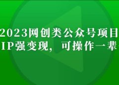 2023网创类公众号项目，强IP强变现，可操作一辈子