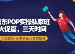 京东POP实操私家班:大促篇,3天时间,实战剖析-从零到百万爆款店铺