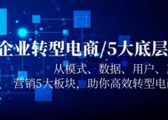 企业转型电商/5大底层逻辑,从模式 数据 用户 产品 营销5大板块,高效转型