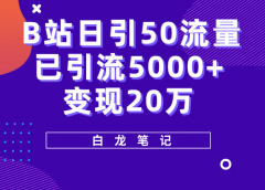 B站日引50+流量,实战已引流5000+变现20万,超级实操课程