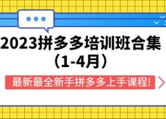 2023拼多多培训班合集(1-4月),最新最全新手拼多多上手课程!