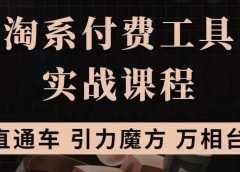 淘系付费工具实战课程【直通车、引力魔方】战略优化,实操演练(价值1299)