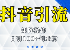 抖音引流术,矩阵操作,一天能引100多创业粉