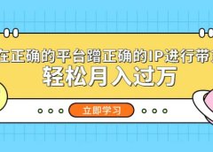 在正确的平台蹭正确的IP进行带货
