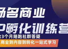 杨名商业IP孵化训练营,从商业到内容到转化一站式学 价值5980元