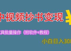 2023中视频抄书变现（附工具+教程），一天300+，特别适合新手操作的副业