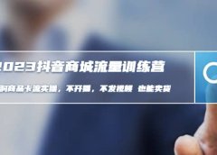 2023抖音商城流量班:利润商品卡流实操,不开播-不发视频-也能卖货(无水印)