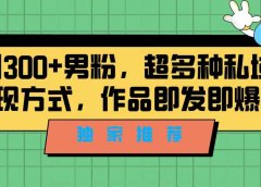 独家推荐！日引300+男粉，超多种私域变现方式，作品即发即报