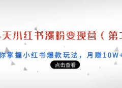 21天小红书涨粉变现营(第3期):带你掌握小红书爆款玩法,月赚10W+秘密