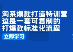 淘系爆款打造特训营:这是一套可复制的打爆款标准化流程