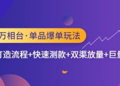 万相台·单品爆单玩法,单爆打造流程+快速测款+双渠放量+巨量引爆
