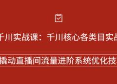 巨量千川实战系列课：千川核心各类目实战打法，撬动直播间流量进阶系统优化技巧
