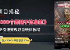 最新一千个野路子信息差玩法教程如何变现+引流的玩法具体拆解!!!
