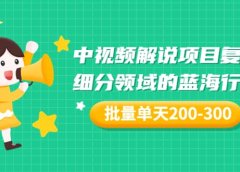某付费文章:中视频解说项目复盘:细分领域的蓝海行业 批量单天200-300收益