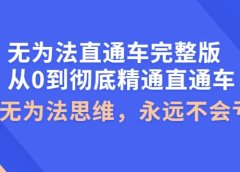 无为法直通车完整版:从0到彻底精通直通车,用无为法思维,永远不会亏损