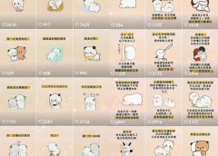 抖音表情包小程序变现项目，一条龙玩法详细大解析，视频版学习