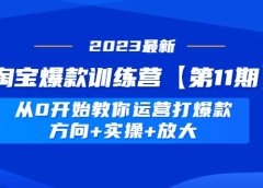 淘宝爆款训练营【第11期】 从0开始教你运营打爆款,方向+实操+放大