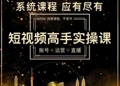 短视频高手实操课:账号+运营+直播,从入门到精通,系统课程,应有尽