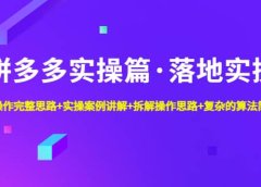拼多多实操篇·落地实操 完整思路+实操案例+拆解操作思路+复杂的算法简单化