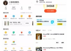 引流哥·闲鱼卖苹果手机项目,教你闲鱼卖货月入上万