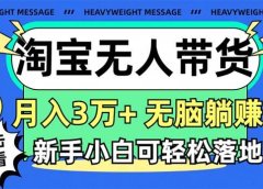 淘宝无人带货3.0高收益玩法,月入3万+,无脑躺赚,新手小白可落地实操